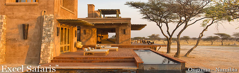 onguma plains fort etosha namibia